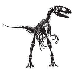 Delicate bones in bold lines – Velociraptor skeleton silhouette rendered through Velociraptor skeleton vector – dinosaur skeleton silhouette

