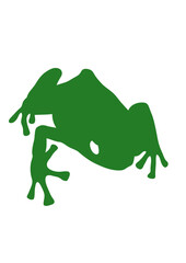 grenouille crapaud dessin