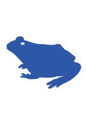 grenouille crapaud dessin