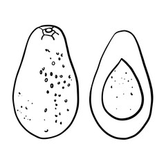 Realistic cartoon avocado fruit. Half an avocado with the pit. Black outline hand drawing, sketch. Avocado cut in half on white background