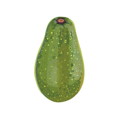 Realistic cartoon avocado fruit on white background