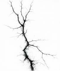 Obraz premium Crack or Lightning Bolt texture