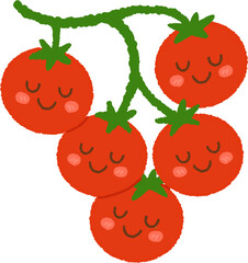 Tomato