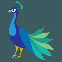 Majestic indian peacock in full display vector illustration