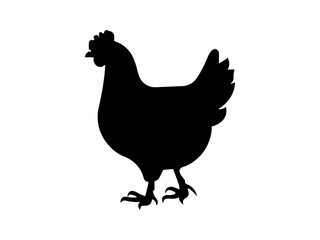Black silhouette of a chicken standing on grass simple elegant hen icon vector illustration for farm and agriculture projects.Chicken Icon Flat Graphic Design.