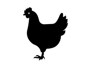 Black silhouette of a chicken standing on grass simple elegant hen icon vector illustration for farm and agriculture projects.Chicken Icon Flat Graphic Design.
