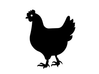 Black silhouette of a chicken standing on grass simple elegant hen icon vector illustration for farm and agriculture projects.Chicken Icon Flat Graphic Design.