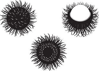 Rambutan Fruit Silhouettes Vector Set of 4 Poses - Whole, Half Peeled, Seed, Detailed Illustrations