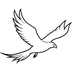 dove of peace