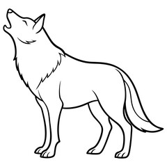 wolf vector illustration