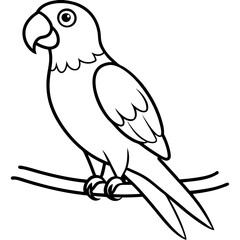 vector illustration of a parrot