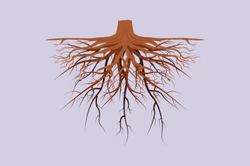 Tree Roots Concept. Colored flat vector illustration isolated