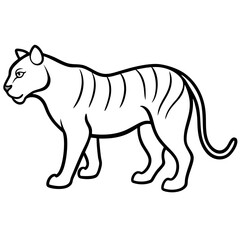 vector illustration of a tiger