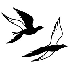 vector illustration of a flying bird
