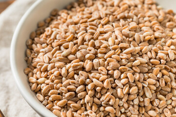 Organic Raw Dry Farro Grain