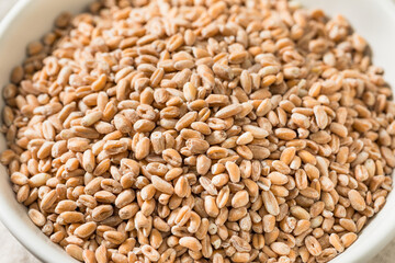 Fototapeta premium Organic Raw Dry Farro Grain