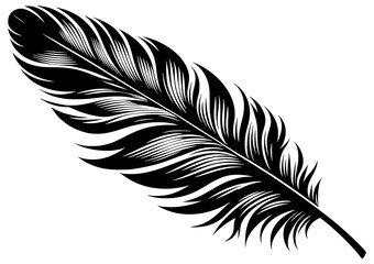 black and white feather positioned horizontally at an angle