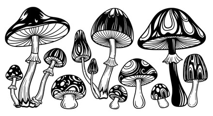 Magic Mushrooms Vector Illustration | Black and White Psychedelic Fungi Art
