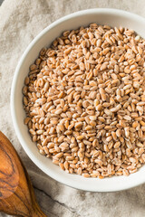 Organic Raw Dry Farro Grain