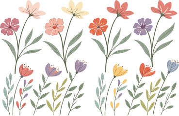 Assorted Floral Isolated on White, Botanical Stems and Flowers Art