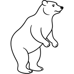 polar bear vector illustration