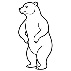 vector illustration of a polar bear
