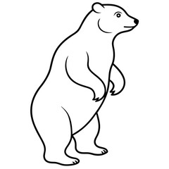 polar bear vector illustration