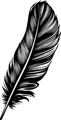 Obraz premium black and white feather arranged vertically