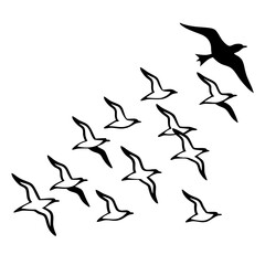 birds on white background