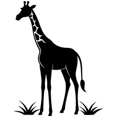 giraffe vector illustration