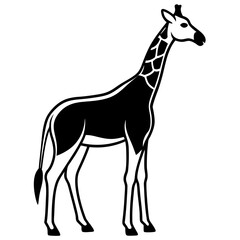 giraffe vector illustration