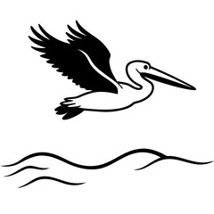 pelican on white background