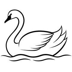 black swan on the lake