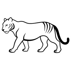 tiger vector illustration