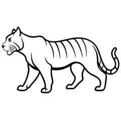 vector illustration of a tiger