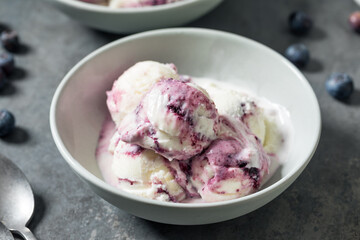 Sweet Refreshing Cold Blueberry Ice Cream
