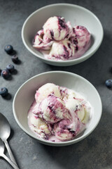 Sweet Refreshing Cold Blueberry Ice Cream