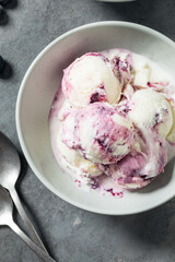 Sweet Refreshing Cold Blueberry Ice Cream