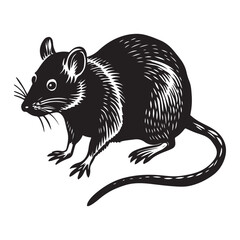 Rat animal vector