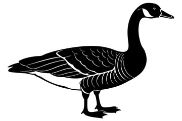 goose isolated on white background