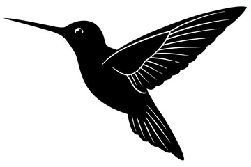 hummingbird in flight