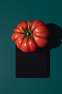 Raf tomato on dark green background showcasing freshness