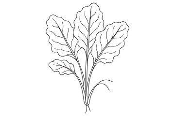 Minimalistic illustration of healthy green leaves, showing delicate patterns and veins, in black and white.