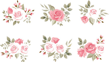 Pink Roses Flower Set with Leafy Branches on Transparent Background