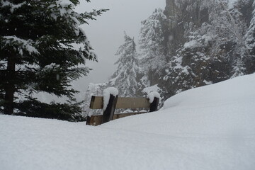 Bank im Schnee
