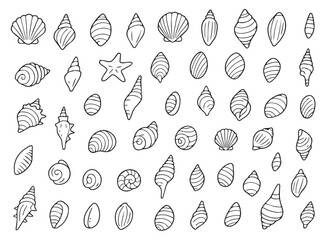 Pearl shell icon set. Shell coloring pages set for kids. Black shell icons. Summer doodle outline coloring isolated on white background.