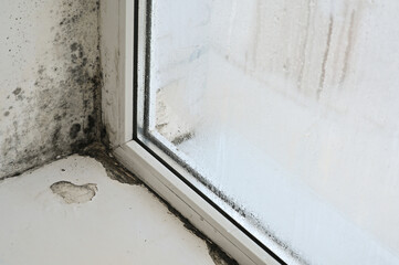 Mold on the window in the house.