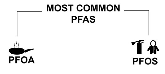 Most Common PFAS Chemicals PFOA PFOS Diagram. Simple black and white diagram showing the two most common PFAS chemicals: PFOA and PFOS. Isolated on transparent background. Vector illustration