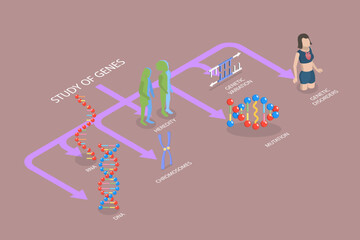 3D Isometric Flat Vector Illustration of Genetics And Gene Learning, Diagram Outlining Various Genetic And Gene Learning Subjects Within The Field Of Genetics.