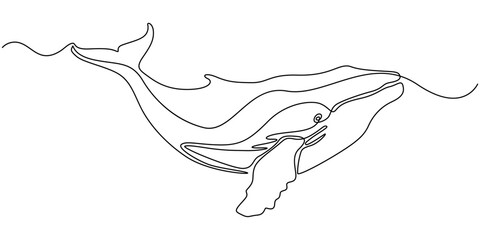 Continuous single drawn one line drawing of whale. Vector illustration, Continuous one line drawing of dolphin. Simple illustration of dolphin pair line art vector illustration, Continuous one line © LINE SIMPLE DRAWING